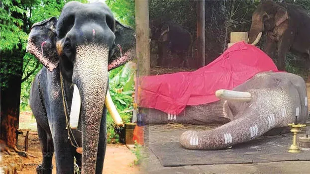 mangalamkunnu-karnan-