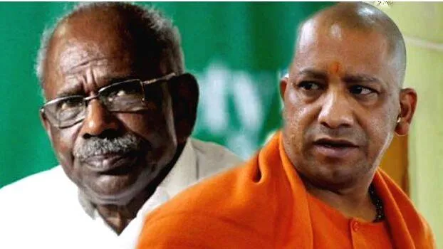 yogi-