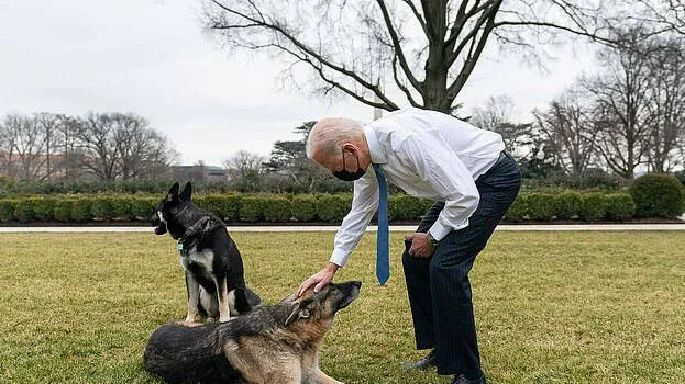 joe-bidden-