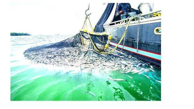 deep-sea-fishing