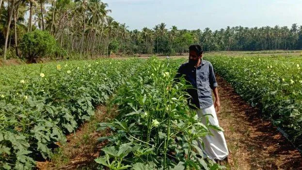 farming-