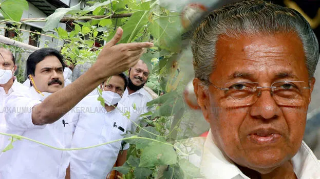jose-k-mani-