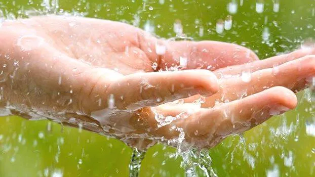 rain-