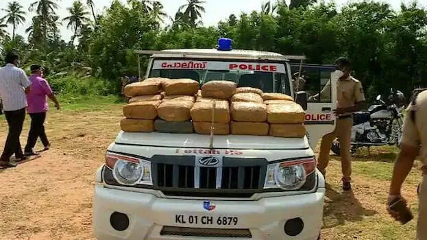 ganja-