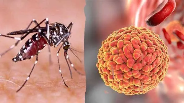 zika-virus
