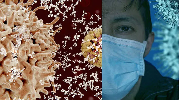 covid-antibodies