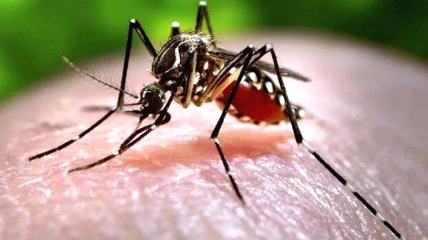 zika