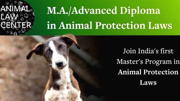 India's first MA in animal protection laws: Animal Law Centre is creating changemakers for animals in India - LIFESTYLE - GENERAL | Kerala Kaumudi Online India's first MA in animal protection laws: Animal Law Centre is creating changemakers for animals in India - LIFESTYLE - GENERAL | Kerala Kaumudi Online