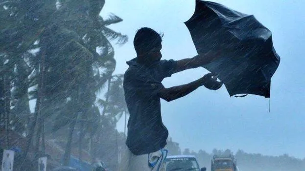 rain