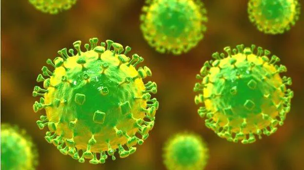 virus-