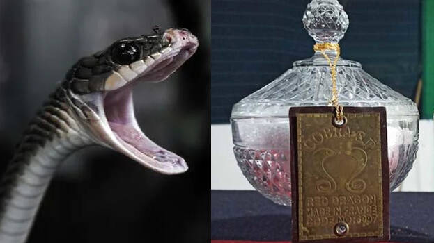 snake-venom