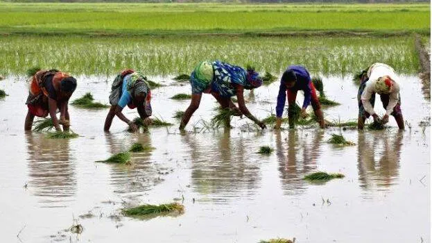farmers-