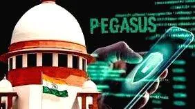 pegasus