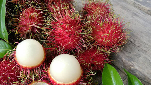 rambutan