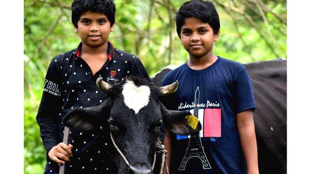 child-farmers