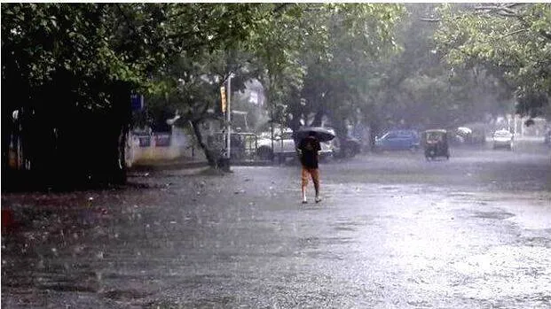 rain