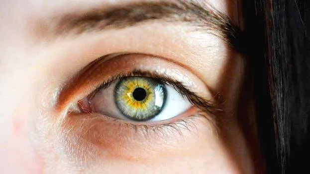 eye
