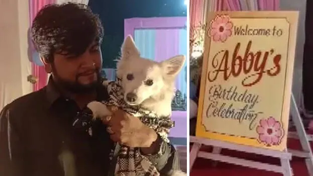 abby-birthday