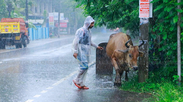 heavy-rains