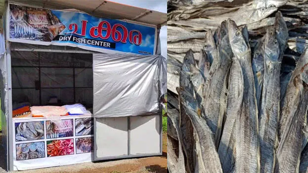 dry-fish
