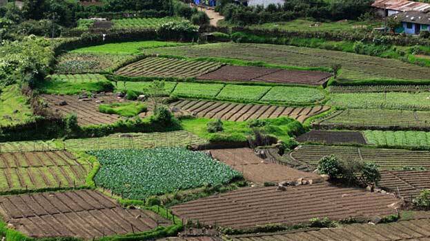 munnar