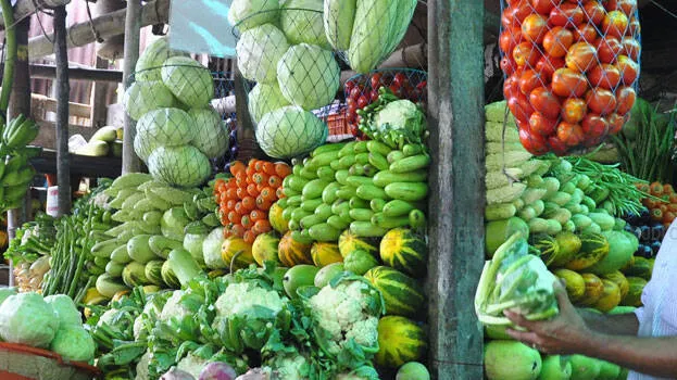 vegetables-