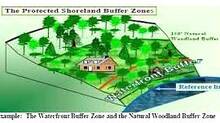 buffer-zone