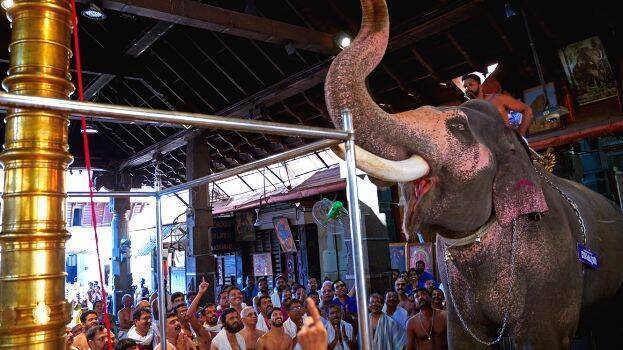 guruvayoor-elephant-race