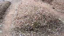 waste-management