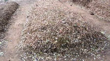waste-management