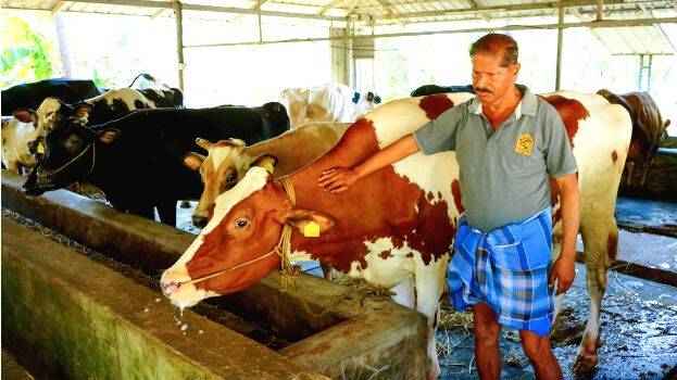dairy-farming-kerala