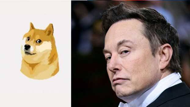 Elon Musk changed Twitter blue bird logo to the 'Doge' meme