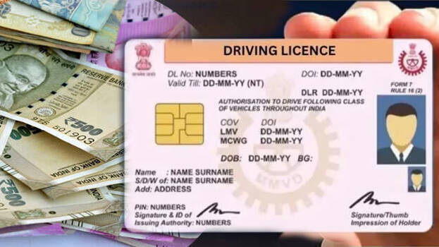 license-smart-card