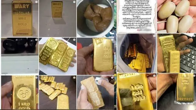 gold-smuggling