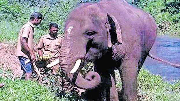 ariraja