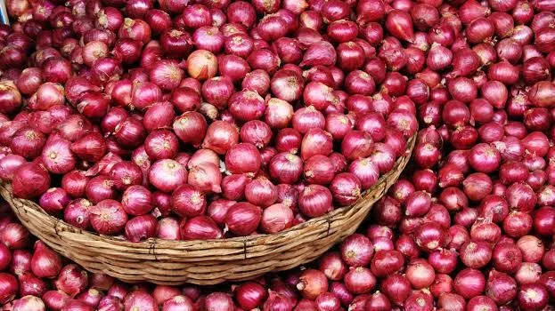 onion