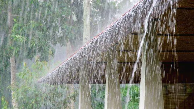 monsoon