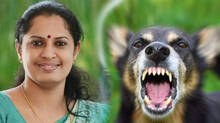 dogs