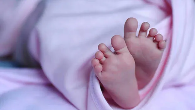 daughter-