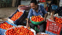 tomatoes