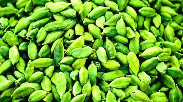 Green on sale cardamom price