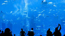 kollam-oceanarium-project