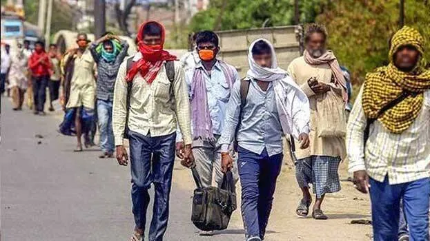 migrant-workers