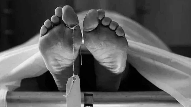 body-