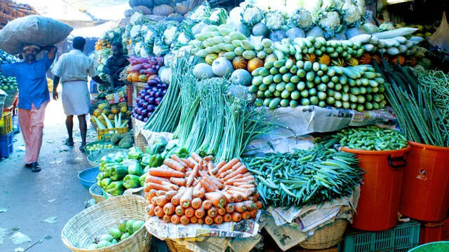 vegetable-
