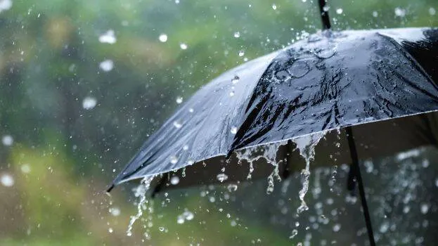 rain