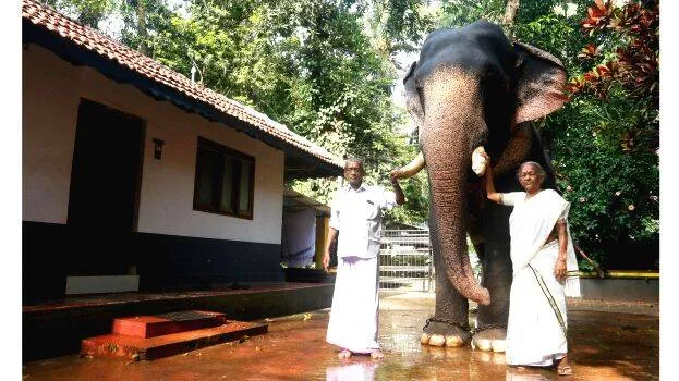 vijay-