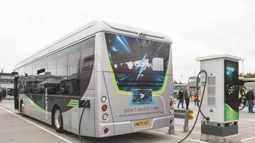 bus