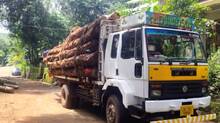 wood-