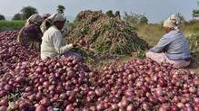 onion